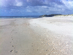 Te Arai beach footprints-396